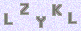 manual verify